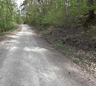 Walderlebnisweg Rottenburg