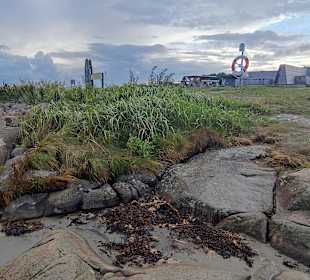 Strand Varberg
