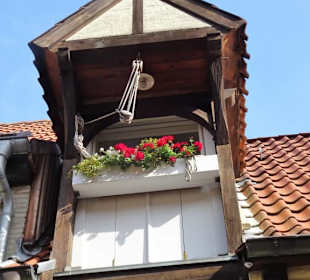 Eindrücke aus dem Oluf-Samson-Gang