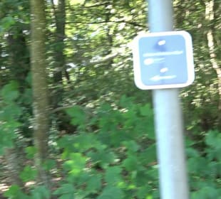 Kelten-Erlebnis-Pfad Erkenbrechtsweiler