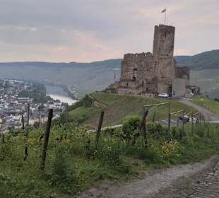 Blick zur Burg