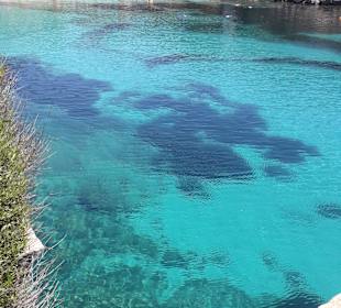 Cala Agulla/ Cala Guya