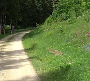 Phäno-Pfad Aichstetten