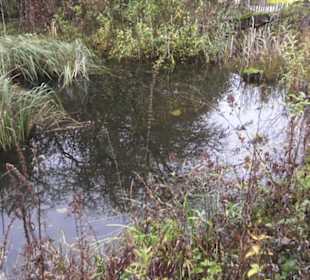 Umweltbildungszentrum Listhof