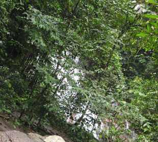 Chong Fah Wasserfall