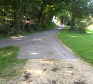 Sternberg