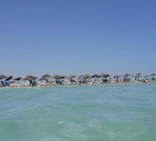 Flamingoinsel - Strand