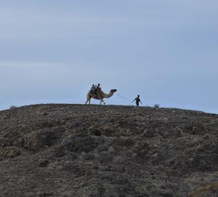 Kamelsafari