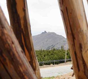 Berg Schneekoppe/Śnieżka