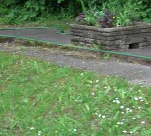 Minigolf Hallwangen