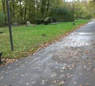 Waldfriedhof