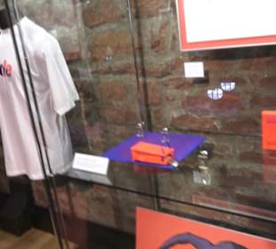 Theodor Zink Museum