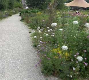 ALB-GOLD Naturgarten