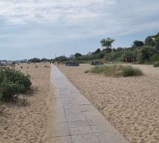 Zugangsweg nur mit Hund