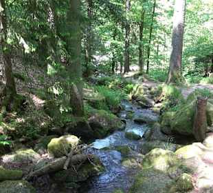 Gertelbach-Rundweg