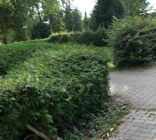 Stadtfriedhof Herrenberg