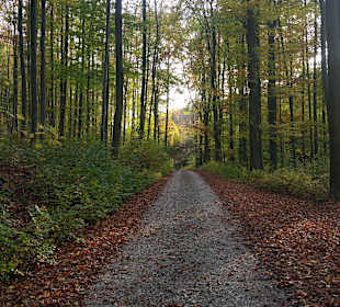 Wandern Kleinbartloff