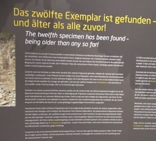 Dinosaurier Museum Altmühltal