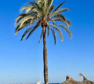 Strand Cala Mayor / Cala Major