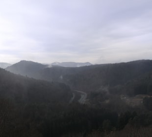 Ausblick