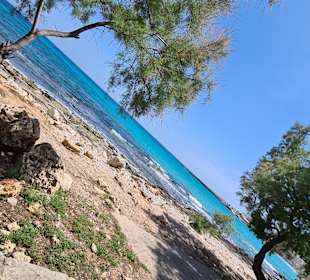 Strand Cala Moreia