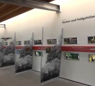 Ausstellung