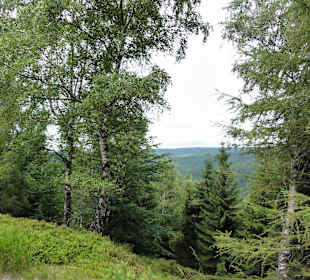 Wandern Swieradow Zdroj/Bad Flinsberg