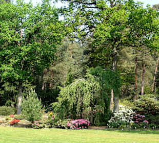 Spaziergang durch den Rhododendronpark Westerstede