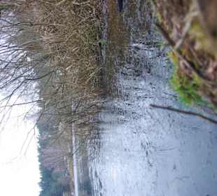 Naturschutzbereich