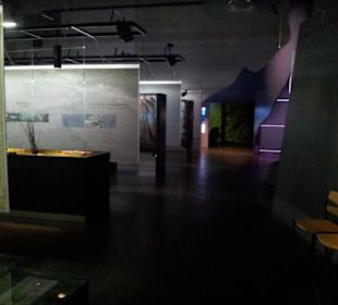 Centrum przeżyć NaturBornholm