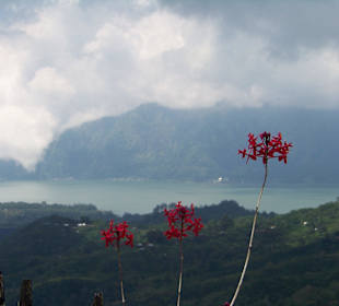 Ausblick