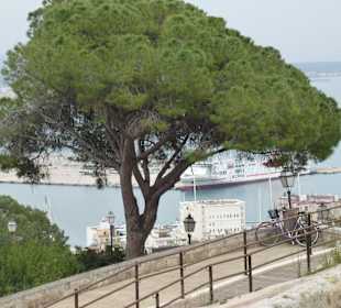 Blick vom Castell de Bellver