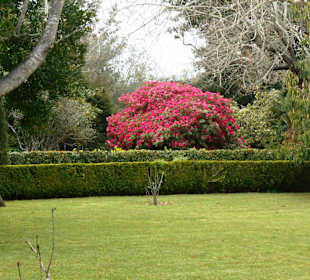 Palheiro Gardens