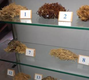 Natur- und Jagdmuseum