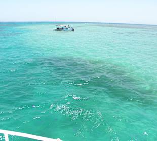 Blick vom Glasbodenboot