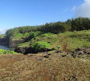 So stelle ich mir eher Schottland vor