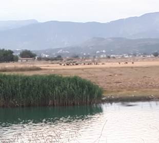 Wandern Side - Titreyengöl