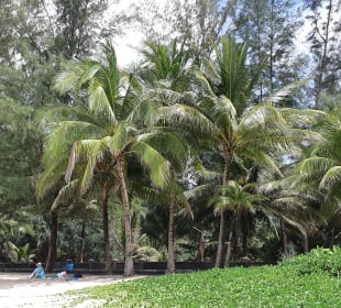 Strand