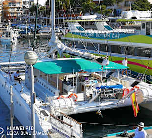 Yachthafen Cala Ratjada