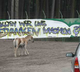 Serengeti Park Hodenhagen