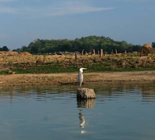 Stausee "Senanayake Samudraya"