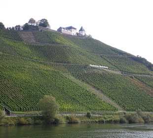 Blick auf die Marienburg