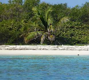 Schnorcheln Isla Catalina