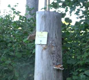 Der Bussen - heiliger Berg Oberschwabens Offingen
