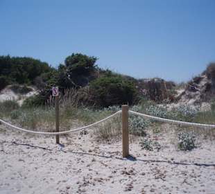 Am Strand zwischen Can Picafort und Alcudia