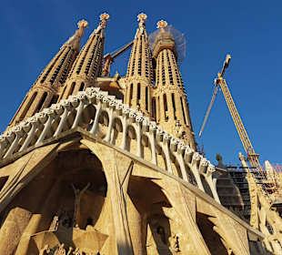 Katedra Sagrada Familia