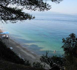 Strand Zlatni Rat in Bol