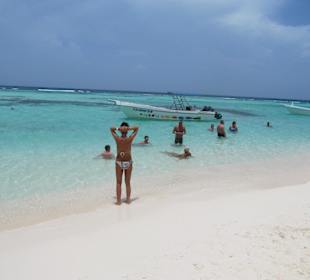 Saona