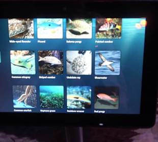 National Aquarium Malta