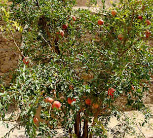 Ruiny Kharanagh